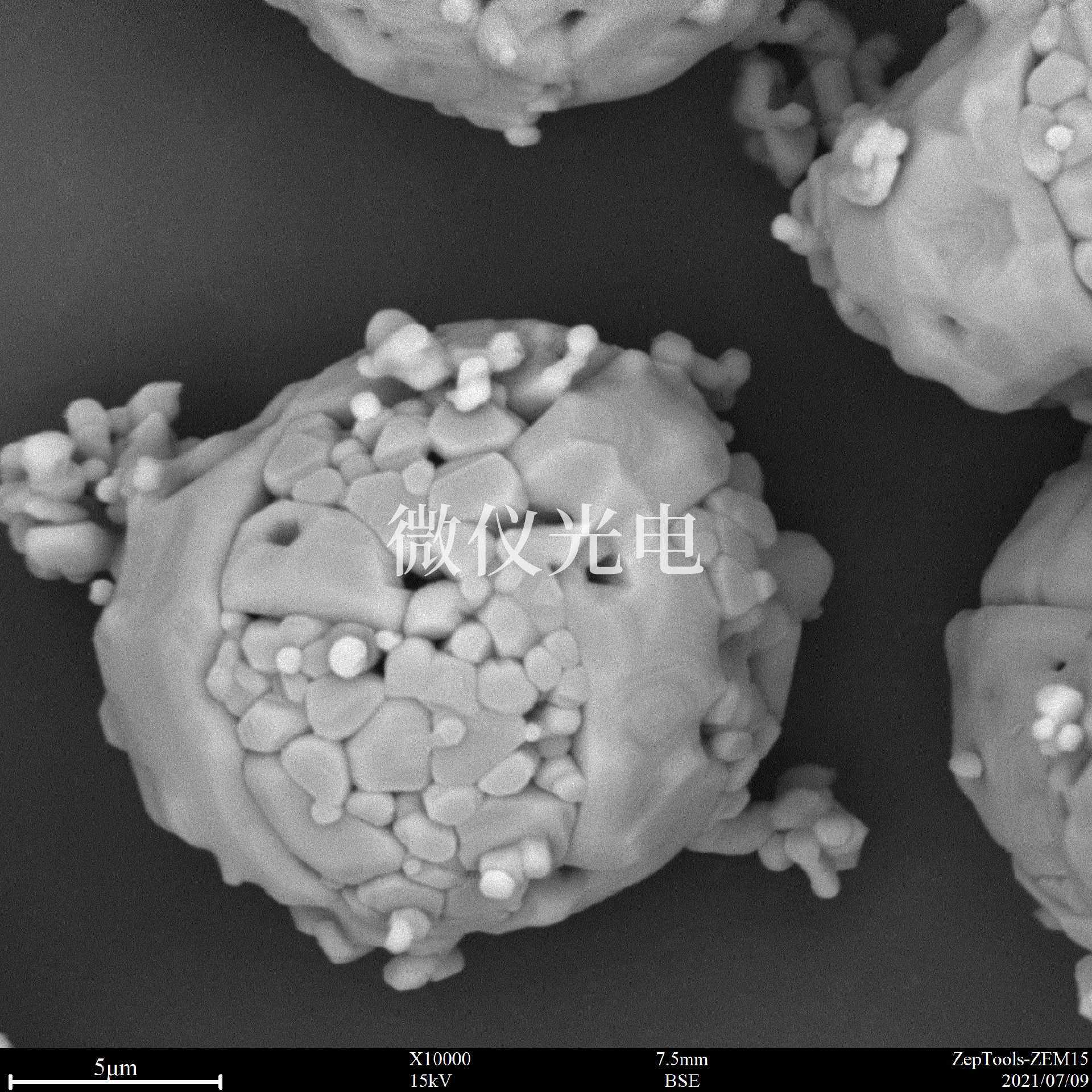 掃描電鏡下的鋰電池正極.png 掃描電鏡下的鋰電池正極.png