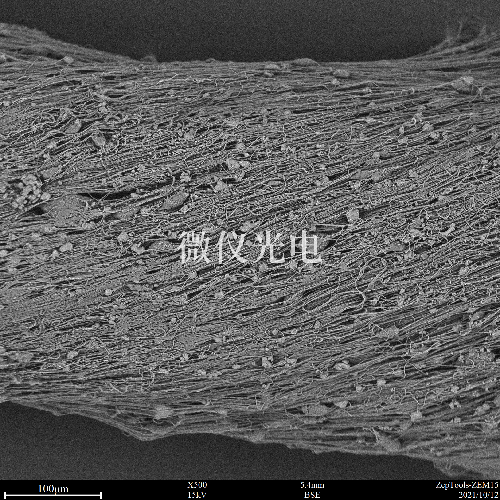 臺式掃描電鏡下的紡絲.png 臺式掃描電鏡下的紡絲.png